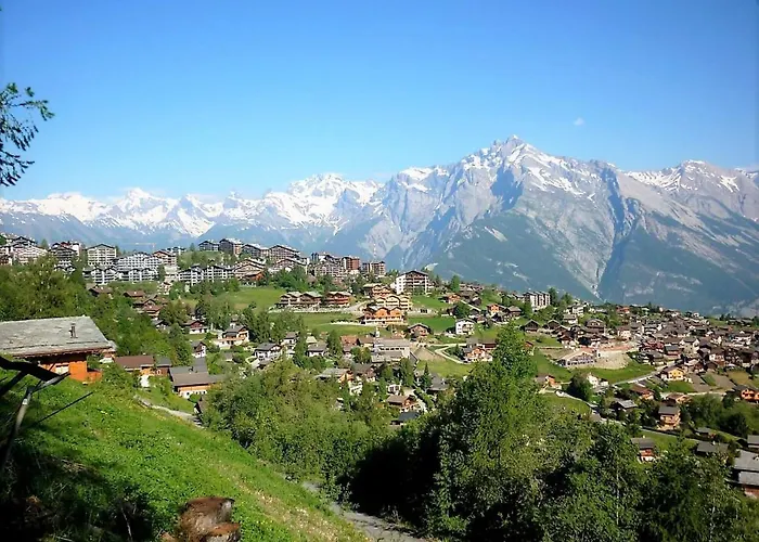 Pracondu 1 306 - Outdoor & Fun Charming Διαμέρισμα Nendaz